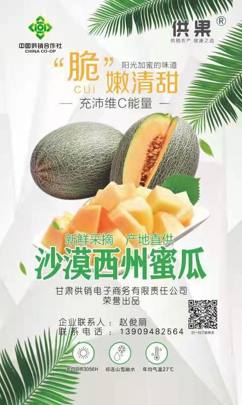 binary_middle (8).jpg