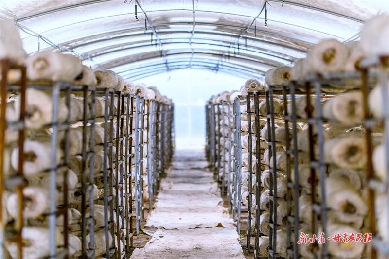 GetAttachment (3).jpg