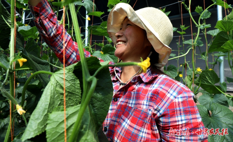 1762136560799996.png 微信圖片_20251031162211_114_124.png