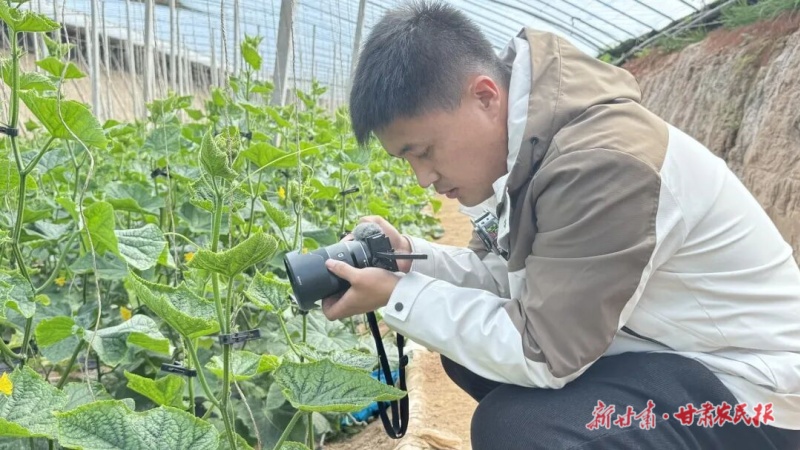 1762741415907035.jpg 微信圖片_20251107162614_111_102.jpg